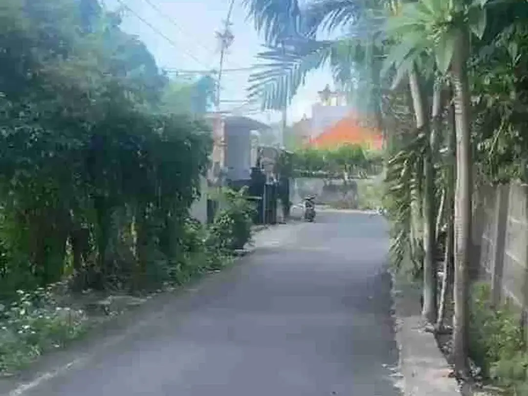Tanah drupadi renon - Image 2 of 6