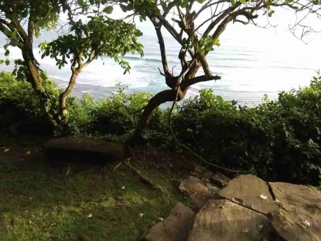 Rare Cliff front Land Ocean View and Sunset View in Ungasan Bali - Image 6 of 10