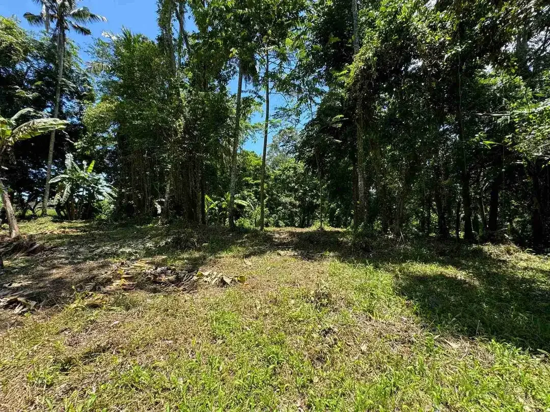 Siap Bangun Vila, Tanah Datar View Sawah di Ubud Gianyar - Image 10 of 10