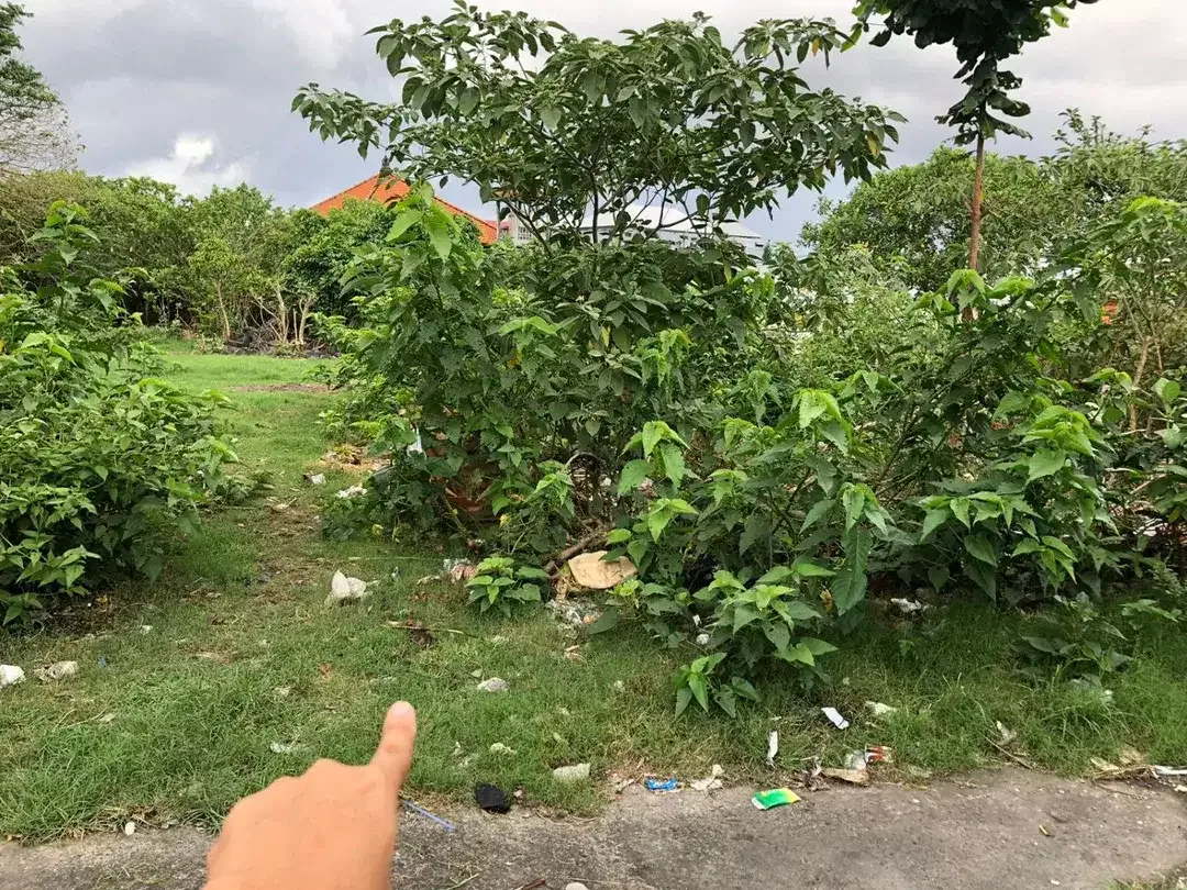 Freehold - Rare Opportunity! Land in commercial located in Ubung Kaja, Denpasar Utara, Bali - Image 8 of 9