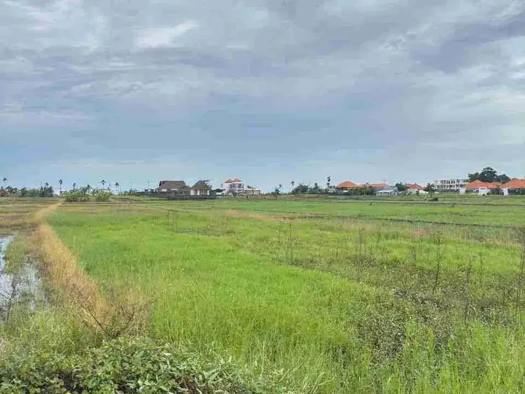 Tanah View Sawah dan Sunset Dekat Pantai Seseh Bali - Image 3 of 10
