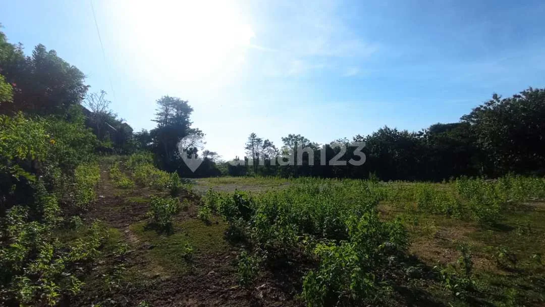 Tanah Murah di Jual Lokasi Pantai Balangan Uluwatu - Image 3 of 3