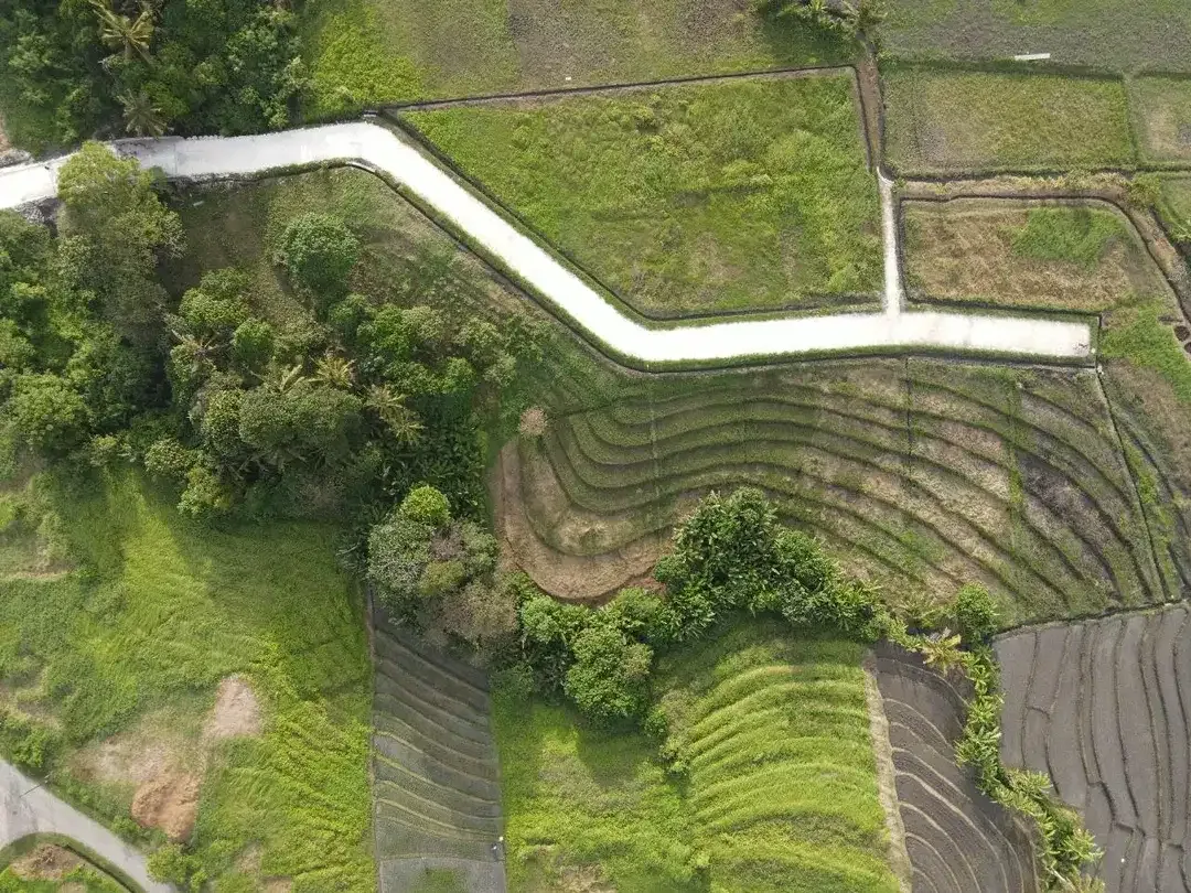 Exclusive Kedungu Land For Sale. - Image 4 of 5
