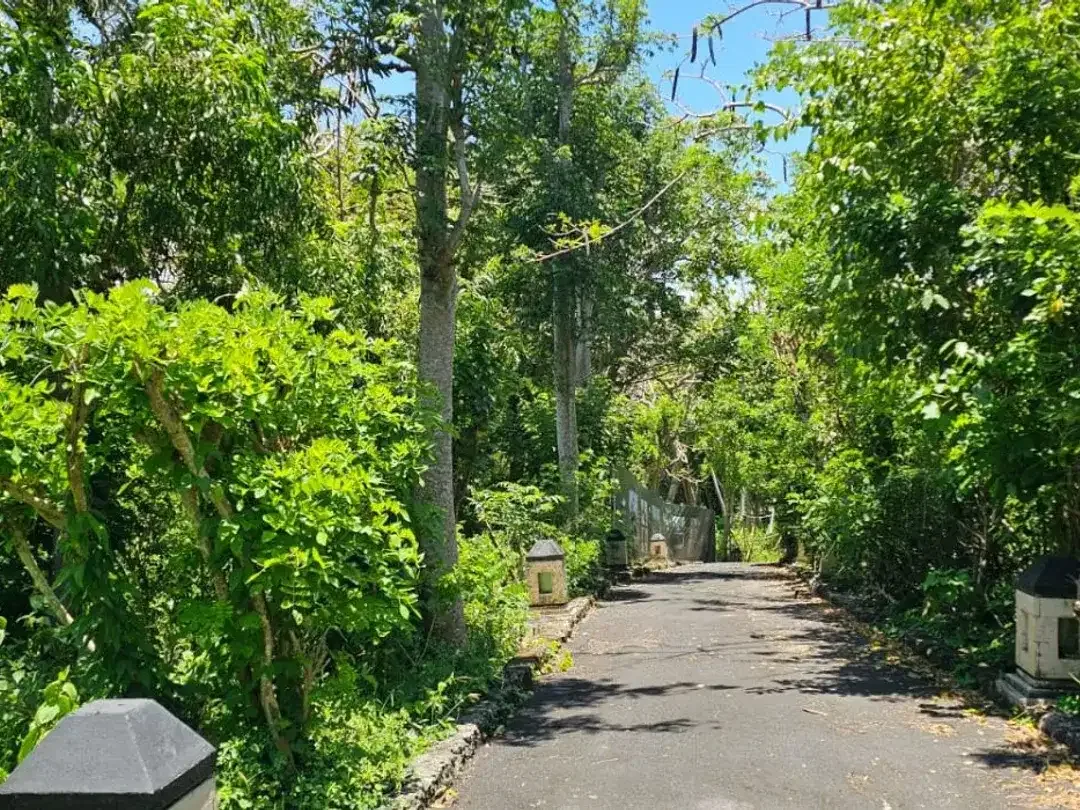 Dijual Tanah Premium Zona Pariwisata 1 Hektar di Kawasan Mewah Pecatu - Image 3 of 7