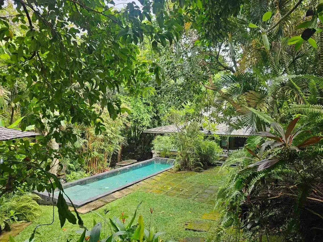 Jual Cepat! Tanah Premium 6.5 Are dekat Sensorium Canggu Bali - Image 3 of 10