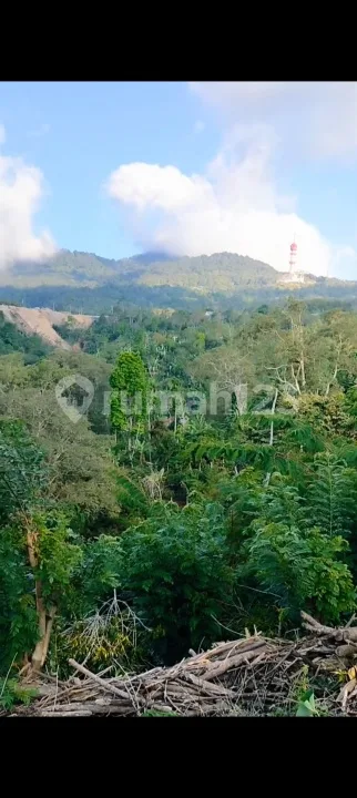 Tanah Kebun 1000MÂ² Sudah Diaspek View Bagus Gitgit Buleleng Bali - Image 4 of 4