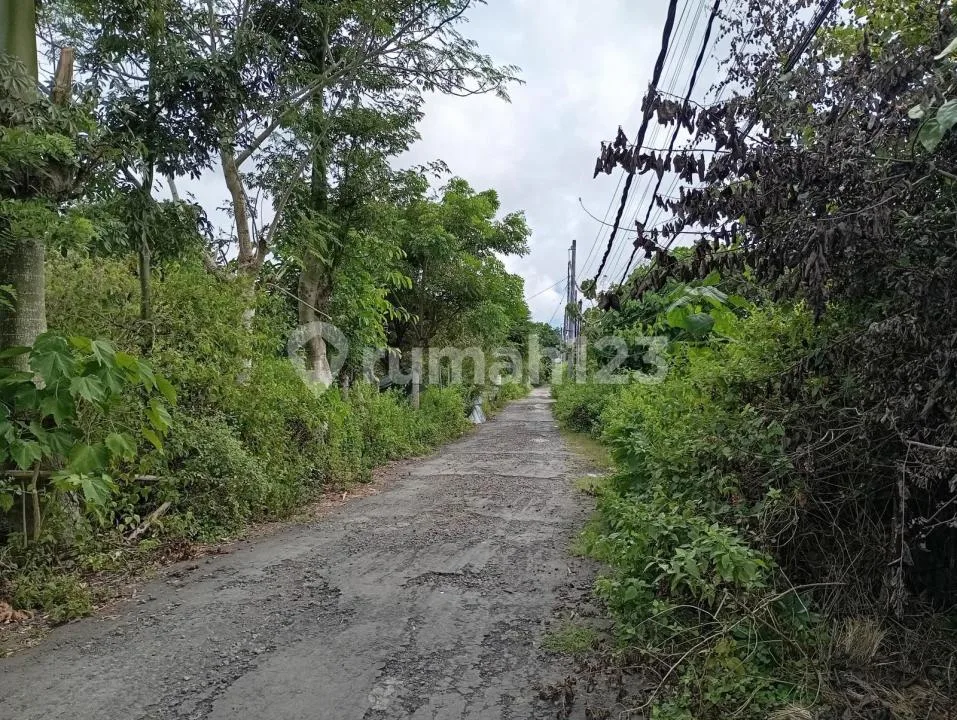 Dijual Tanah 20 Are Ungasan Bali - SHM - Area Villa dan Hotel - Image 3 of 3
