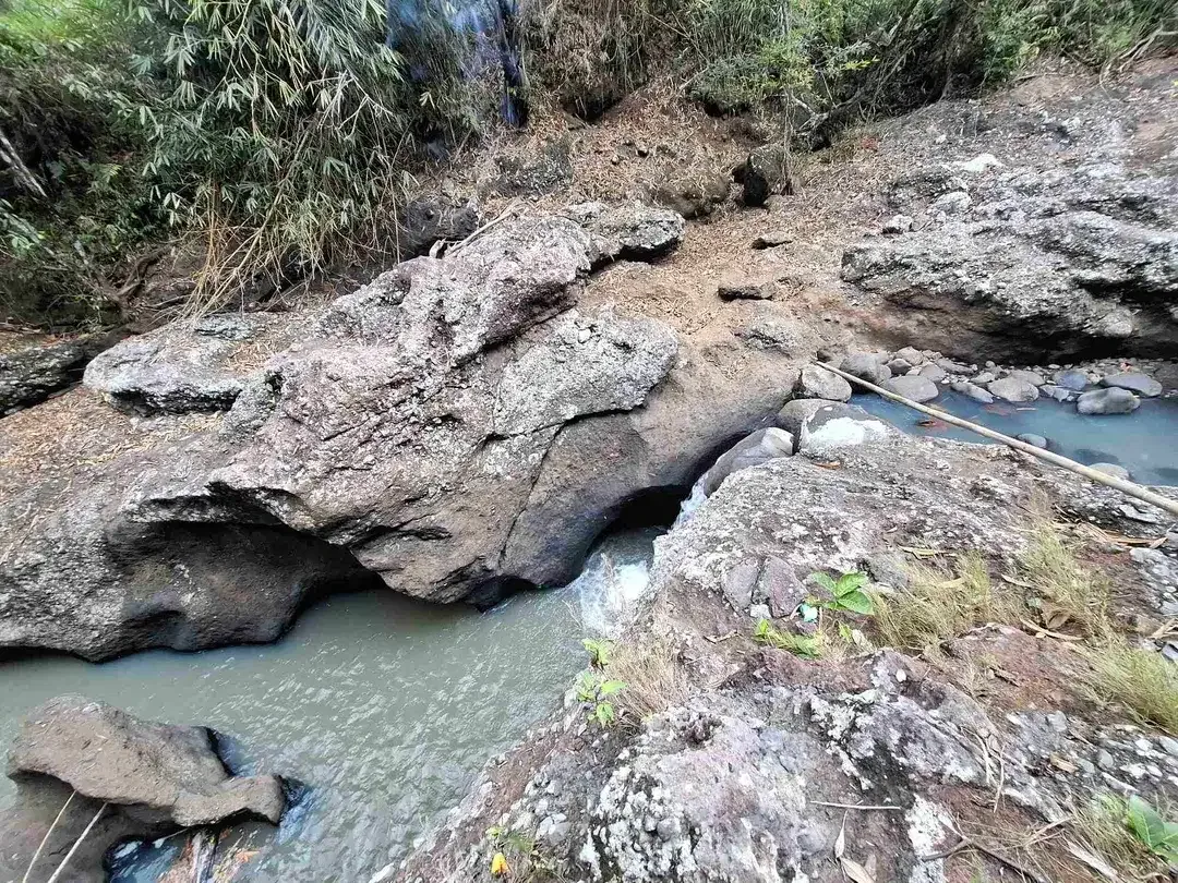Dijual tanah kebun los sungai lokasi sangat strategis dekat dengan fasilitas umum dan tempat wisata di tabanan bali - Image 8 of 10
