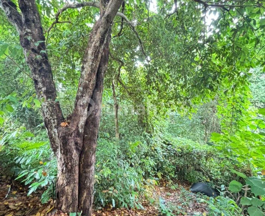 Dijual Tanah Premium 70 Are - Toyaning 1, Ungasan, Bali - Image 3 of 4