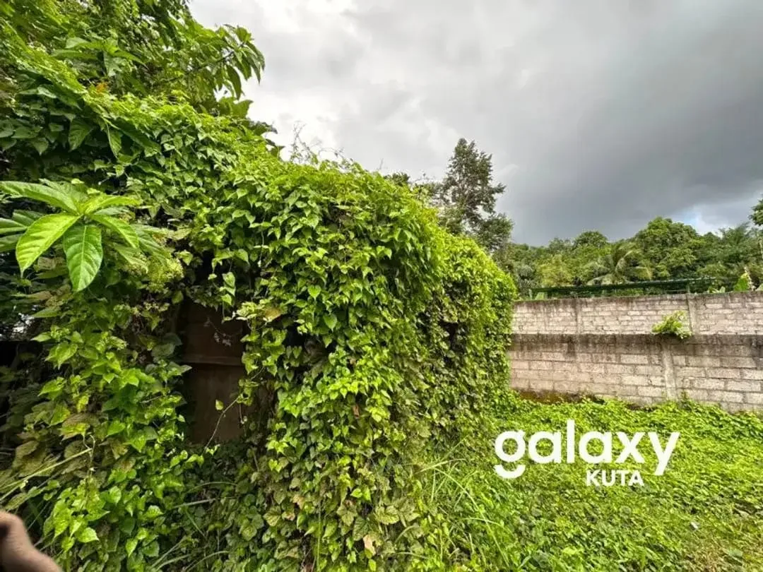 DIJUAL TANAH JUNGLE VIEW DEKAT RS SANJIWANI DI BITERA GIANYAR - Image 8 of 10
