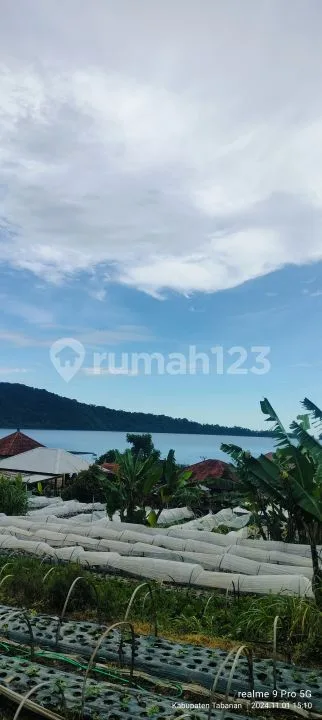 Premium Hook 1000mÂ² Tanah View Danau Beratan Bedugul Bali - Image 1 of 4