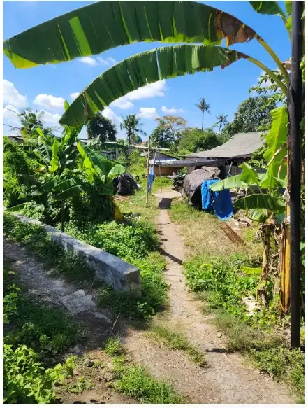 Tanah 18 Are di Berawa Canggu - Image 7 of 9