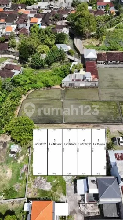 Land For Sale Pura Demak Denpasar Barat - Image 4 of 4