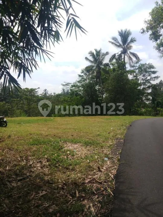 Bu! Tanah Murah Dijual di Baturiti Bedugul- 25,9 Are - Nego Sampai Jadi - Cuma Rp 984,2 Juta - Image 1 of 4