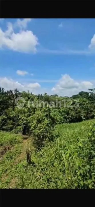 Tanah Besar Zona Kuning Harga Murah Los Sungai Wos - Image 3 of 4