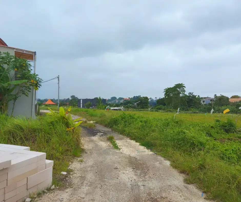 DIJUAL TANAH VIEW SAWAH LOKASI BERAWA CANGGU - Image 6 of 9