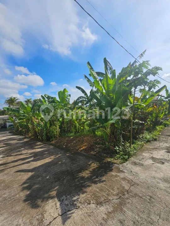 Di Jual Tanah Bebas Banjir di Tumbak Bayuh Cst087 - Image 4 of 4