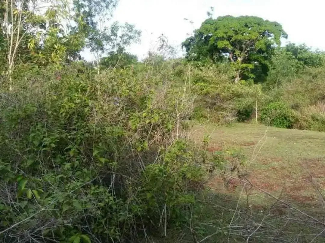 DIJUAL TANAH SANGAT STRATEGIS DAERAH PECATU BALI - Image 6 of 6