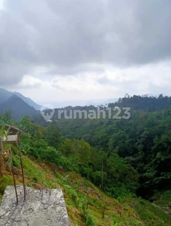 Dijual Tanah Bali Kawasan Wisata Turyapada Bedugul Bali - Image 3 of 4