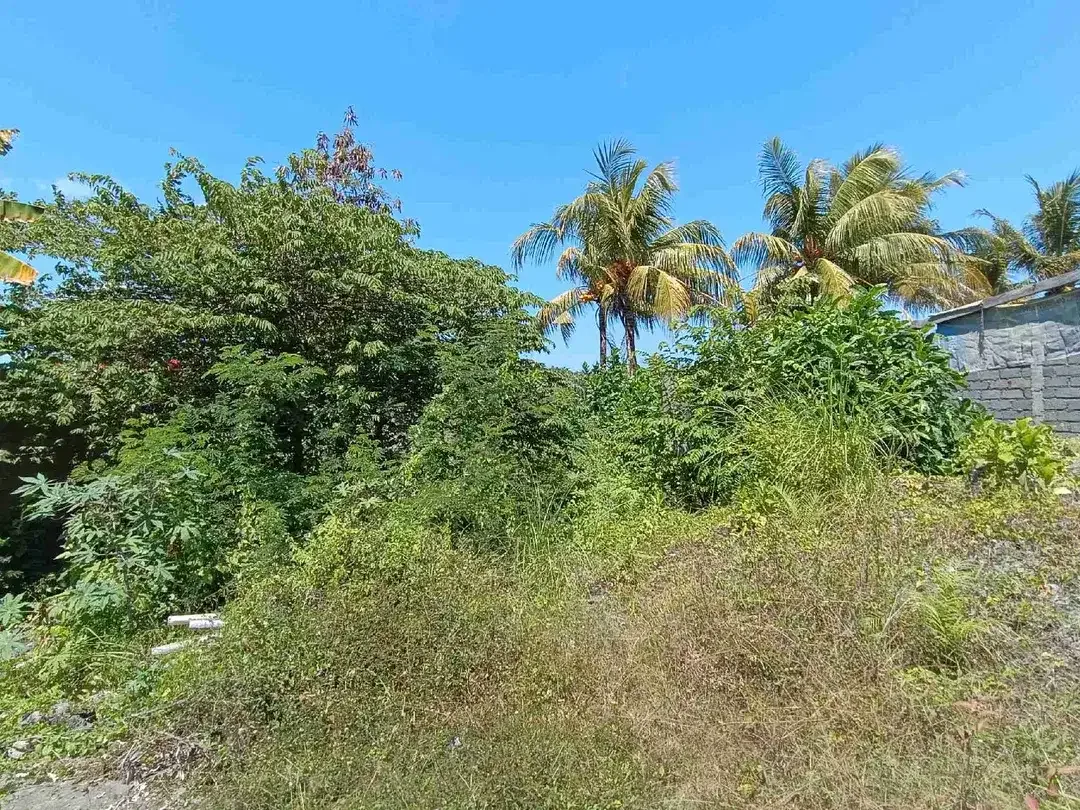 tanah strategis di bypass ida bagus mantra - Image 2 of 4