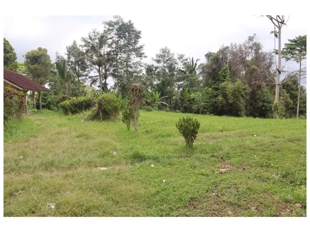 Dijual Tanah Strategis di Desa Apuan, Kecamatan Baturiti, Tabanan - Image 2 of 10
