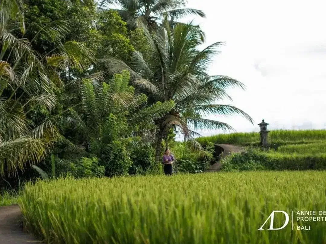 FREEHOLD ONE AND TWO-BEDROOM VILLAS IN UBUD - Image 10 of 10