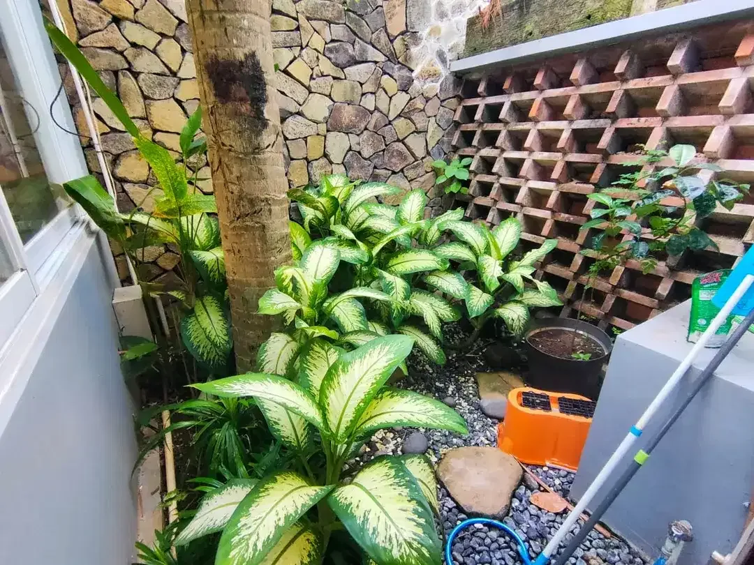 One Gate System Villa In Kerobokan Near Kudeta Beach Club - Image 6 of 10