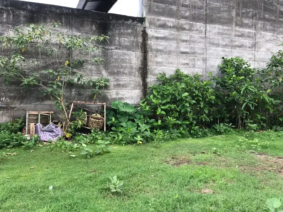 Freehold - Rare Opportunity! Land in commercial located in Ubung Kaja, Denpasar Utara, Bali - Image 6 of 9
