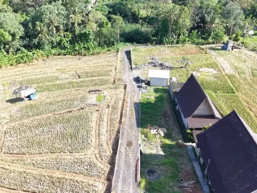 Rare riverside land in the peaceful and rapidly growing area of Kaba Kaba - Image 8 of 10