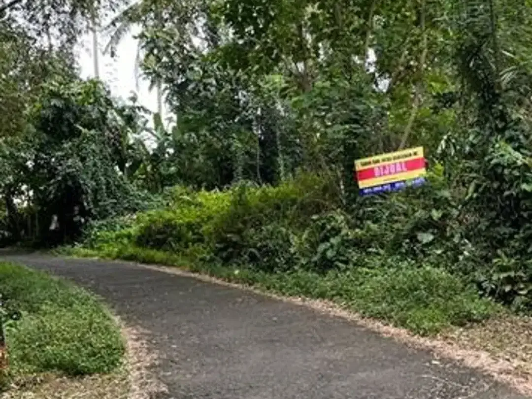 Dijual Tanah Area Berkembang Dekat Jalan Utama Cocok Dibangun Villa - Image 3 of 4