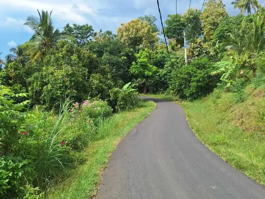 FREEHOLD LAND FOR SALE – LOVINA HILL Bali - Image 6 of 10