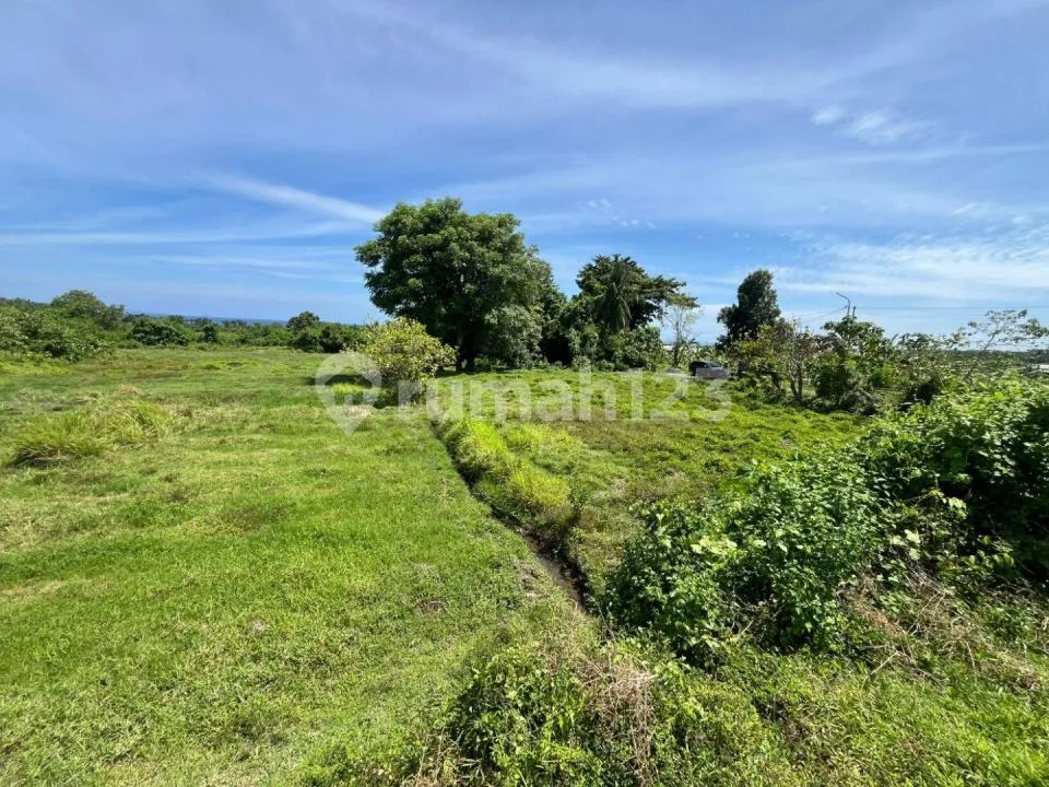 Tanah Komersial 1,11 Ha Zona Pink - Gianyar, Bali - Image 4 of 4
