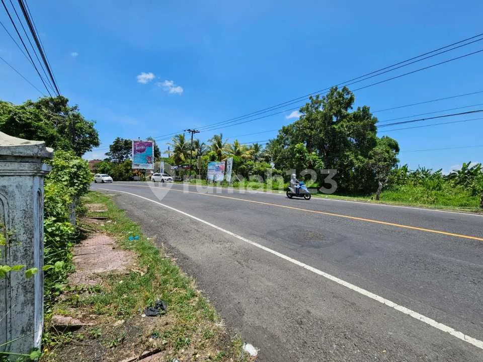 Tanah SHM Luas 23.430 m² di Kerambitan, Tabanan - Rp 120 jt/are - Image 3 of 4