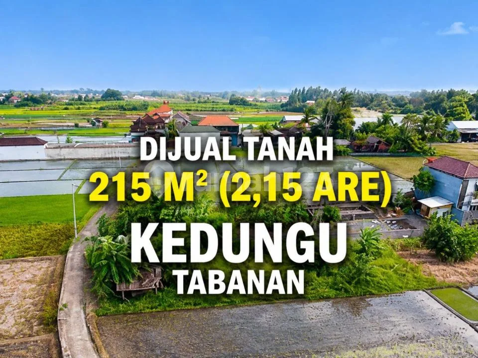 Tanah 215MÂ² View Sawah di Kedungu Tabanan Bali - Image 1 of 4