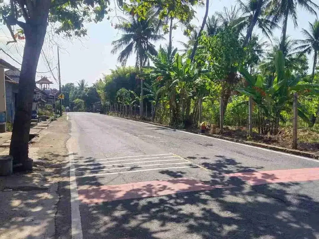 Tanah murah los pantai di Lovina singaraja Bali - Image 3 of 4