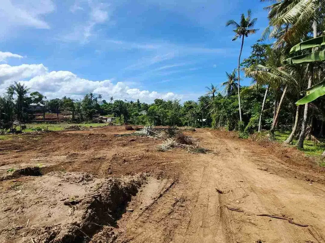 Tanah Kavling Jalan Kaki ke Pantai, View Laut & Sungai, Cocok dibangun Villa di Saba, Blahbatuh, Gianyar dekat Sanur & Denpasar - Image 9 of 10
