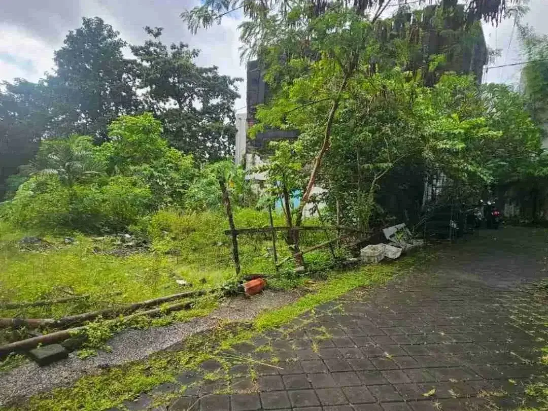 Langka Tanah 135M2 Lingk Villa Lebar Depan 15Mtr Tegal Cupek Umalas - Image 4 of 10