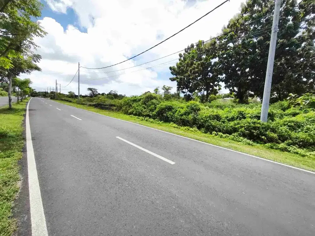 dijual tanah 2510m² IDR 850 juta per are jln Nusa dua selatan Kutuh Badung Bali - Image 3 of 10