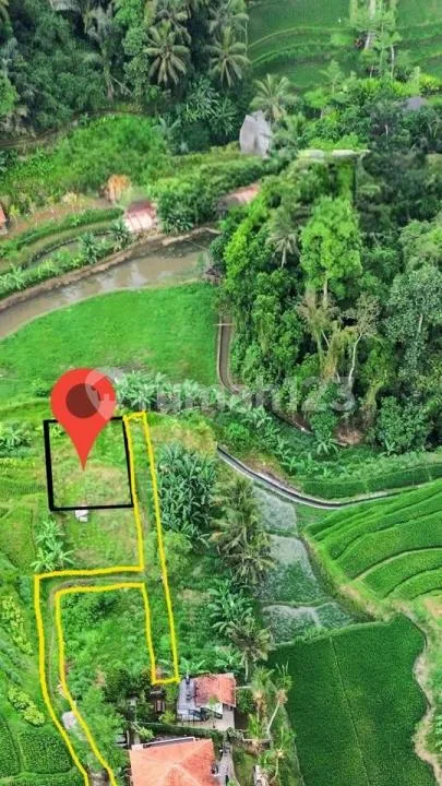 Tanah Premium Murah View Sawah Dekat Ubud Bali - Image 1 of 4