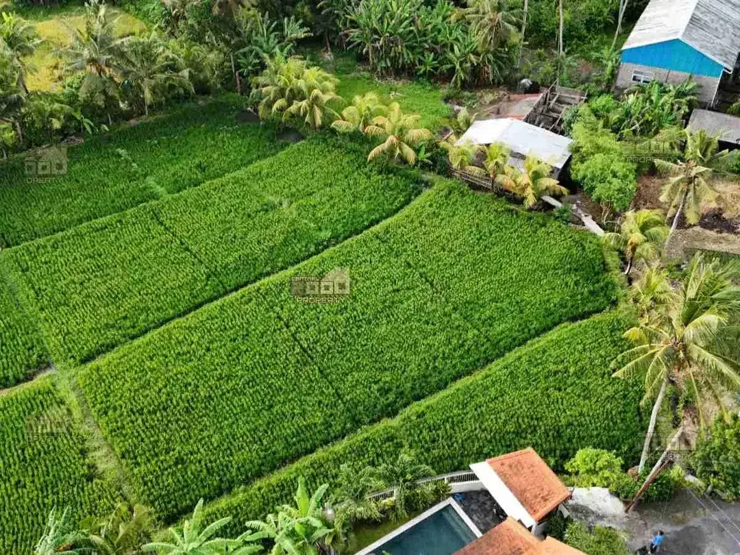 New Project Tanah Kavling Pantai Nyanyi, Bali - Image 3 of 8