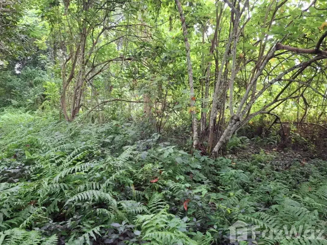Land for sale in Ubud, Bali - Image 7 of 10