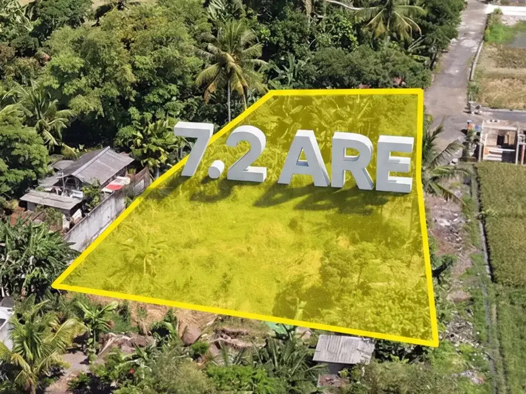 LAND FOR LEASE – KEDUNGU, BALI - Image 4 of 6