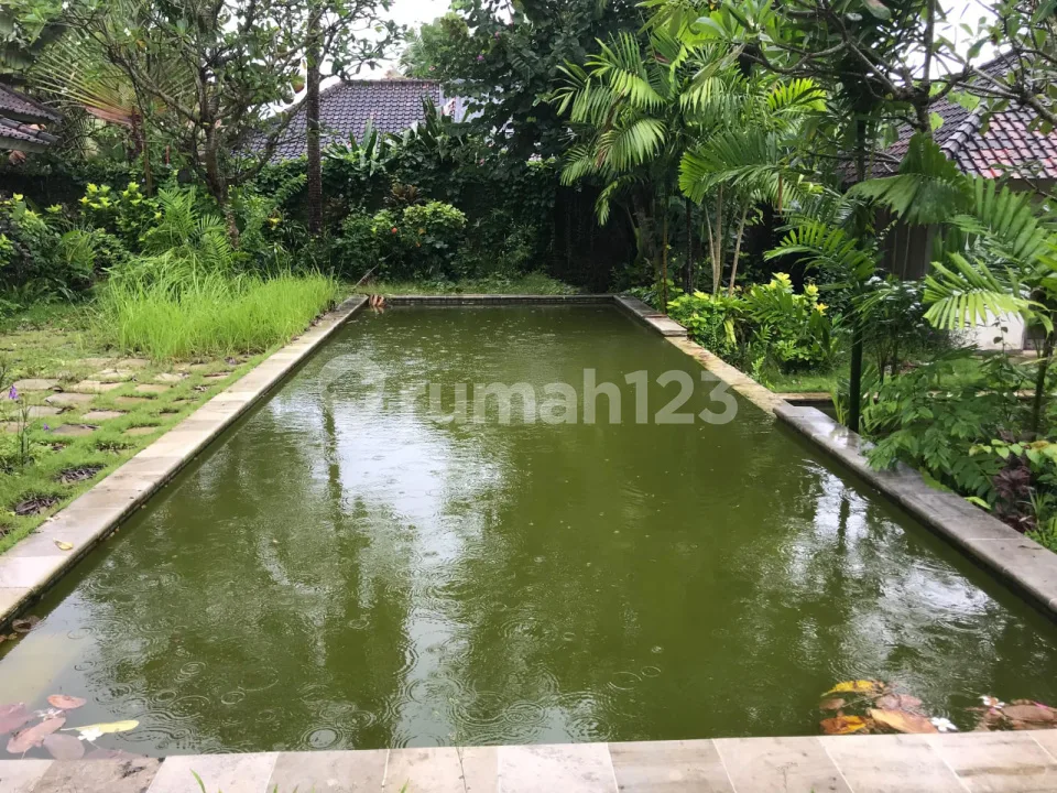 Di Jual Tanah Premium Cocok untuk Villadan Investasi di Jl Batu Belig, Seminyak - Image 2 of 4