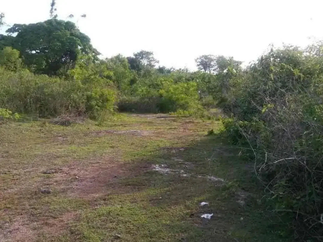 DIJUAL TANAH SANGAT STRATEGIS DAERAH PECATU BALI - Image 2 of 6