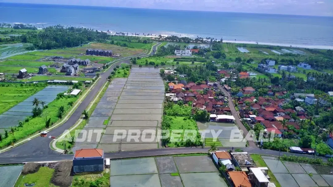 Tanah pangkung tibah kediri tabanan - Image 2 of 10