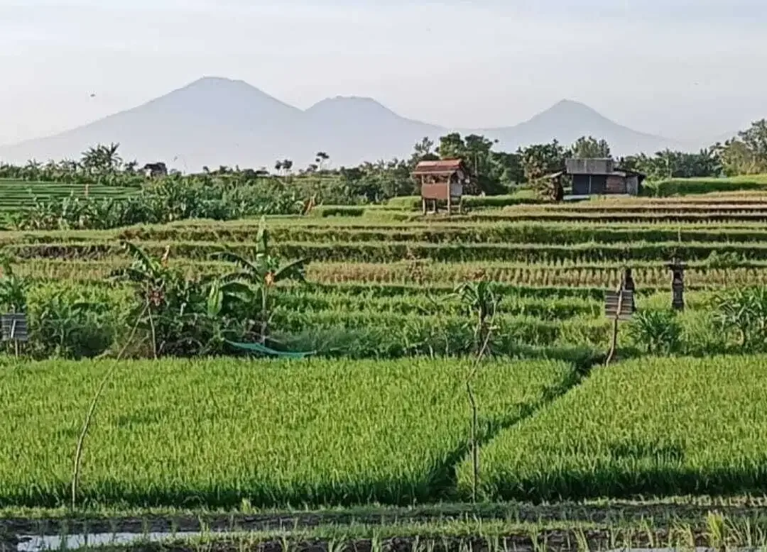 DIJUAL TANAH DI UMA ALAS , DIJUAL TANAH DI CANGGU AREA KUTA UTARA - Image 5 of 8