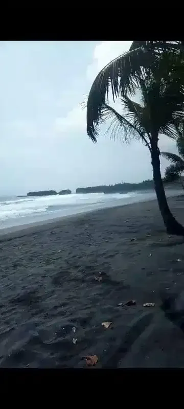 6000 m2 land for sale in pantai klecung Tabanan BALI - Image 1 of 8