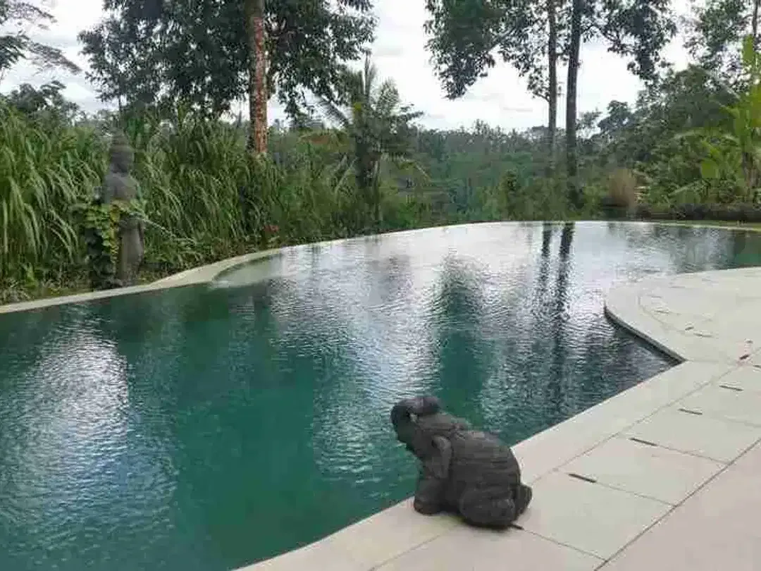 LUXURY MODERN VILLA JUNGLE VIEW AND VALLEY IN TEGALALANG UBUD BALI - Image 5 of 10