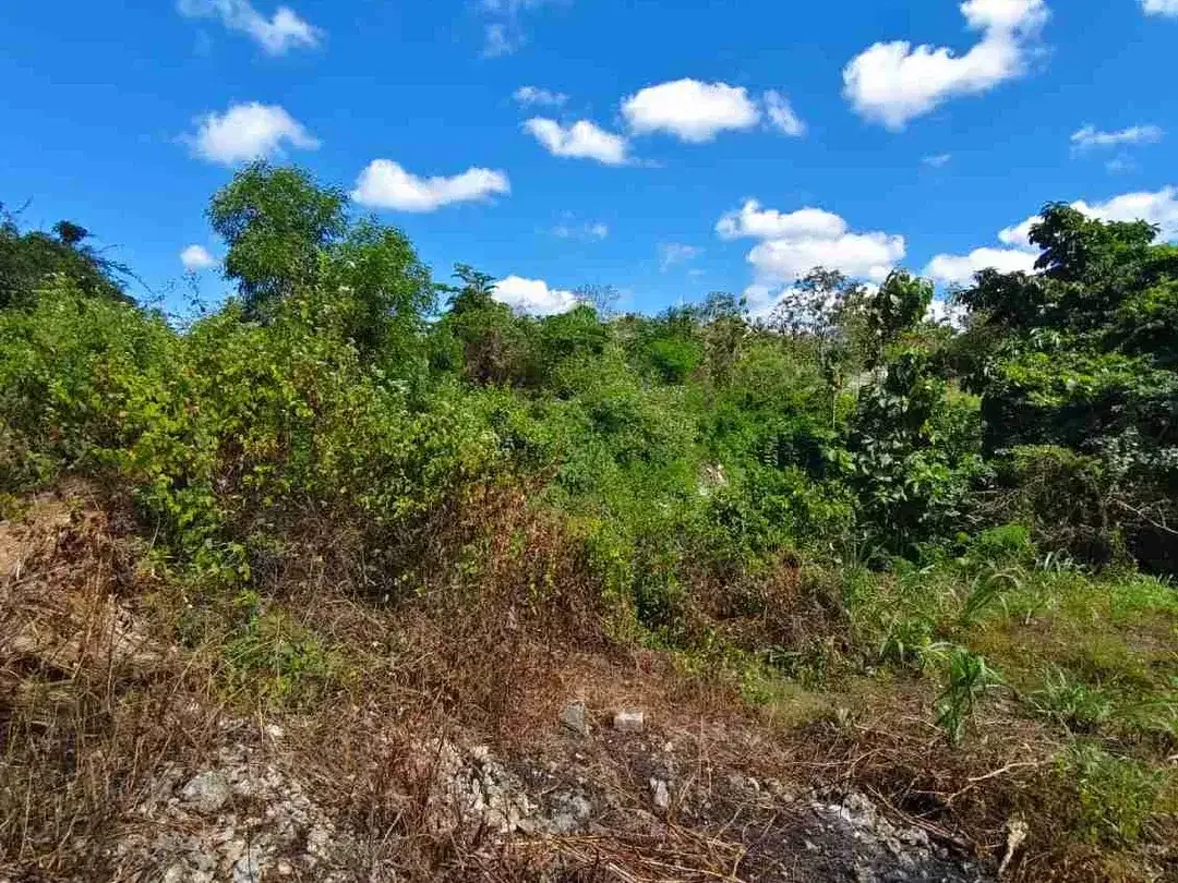 DIJUAL CEPAT TANAH LOKASI NUANSA UDAYANA BARAT JIMBARAN - Image 3 of 5