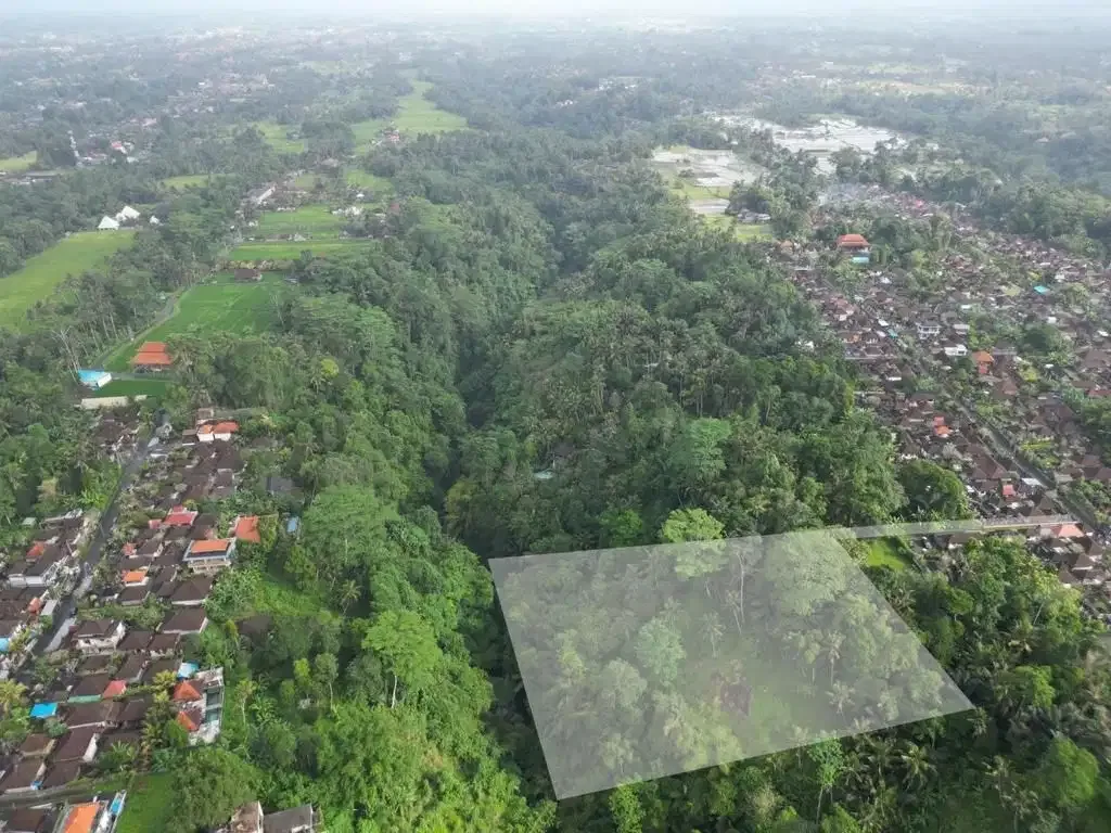Tanah Tebing Dengan Panorama Hutan Dan Sungai di Ubud Bali - Image 9 of 10